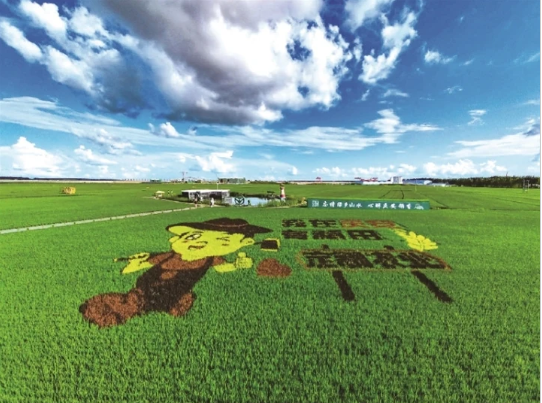 1756711549184.png